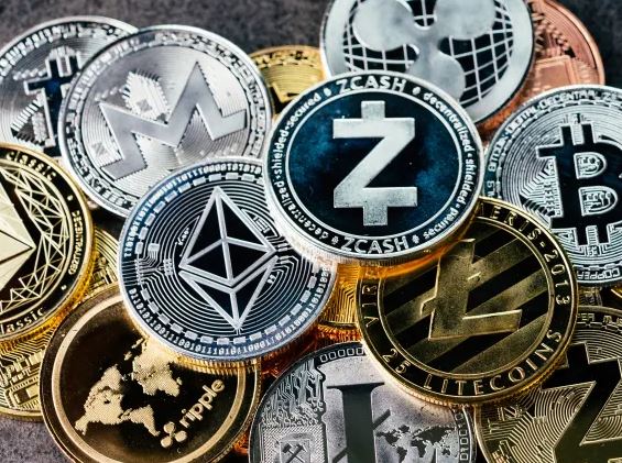 如何使用tp钱包绑定中本聪？